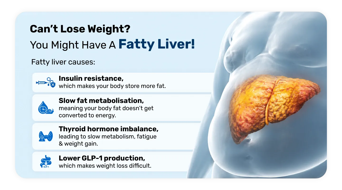 files/Can_t_Lose_Weight_You_Might_Have_A_Fatty_Liver_4caabb81-794d-439e-ae4e-9193a6c954a0.webp