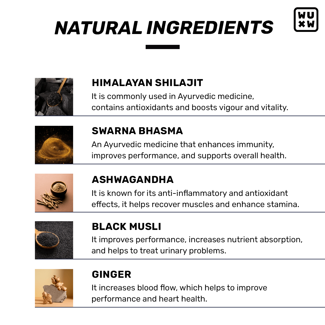🎁 Shilajit Gummies