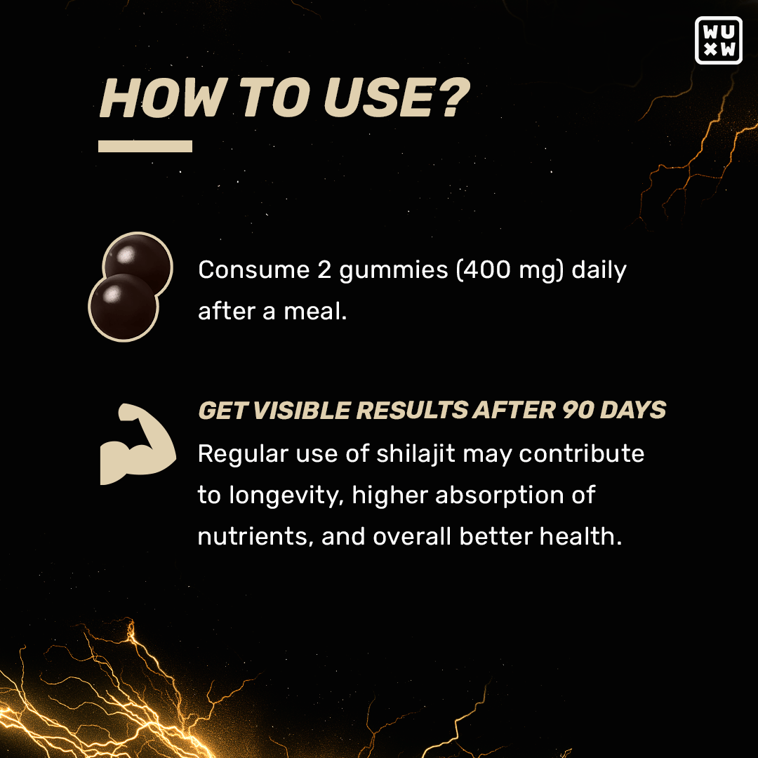 🎁 Shilajit Gummies
