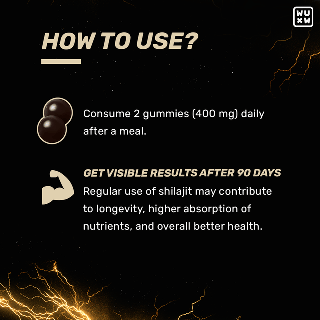 🎁 Shilajit Gummies