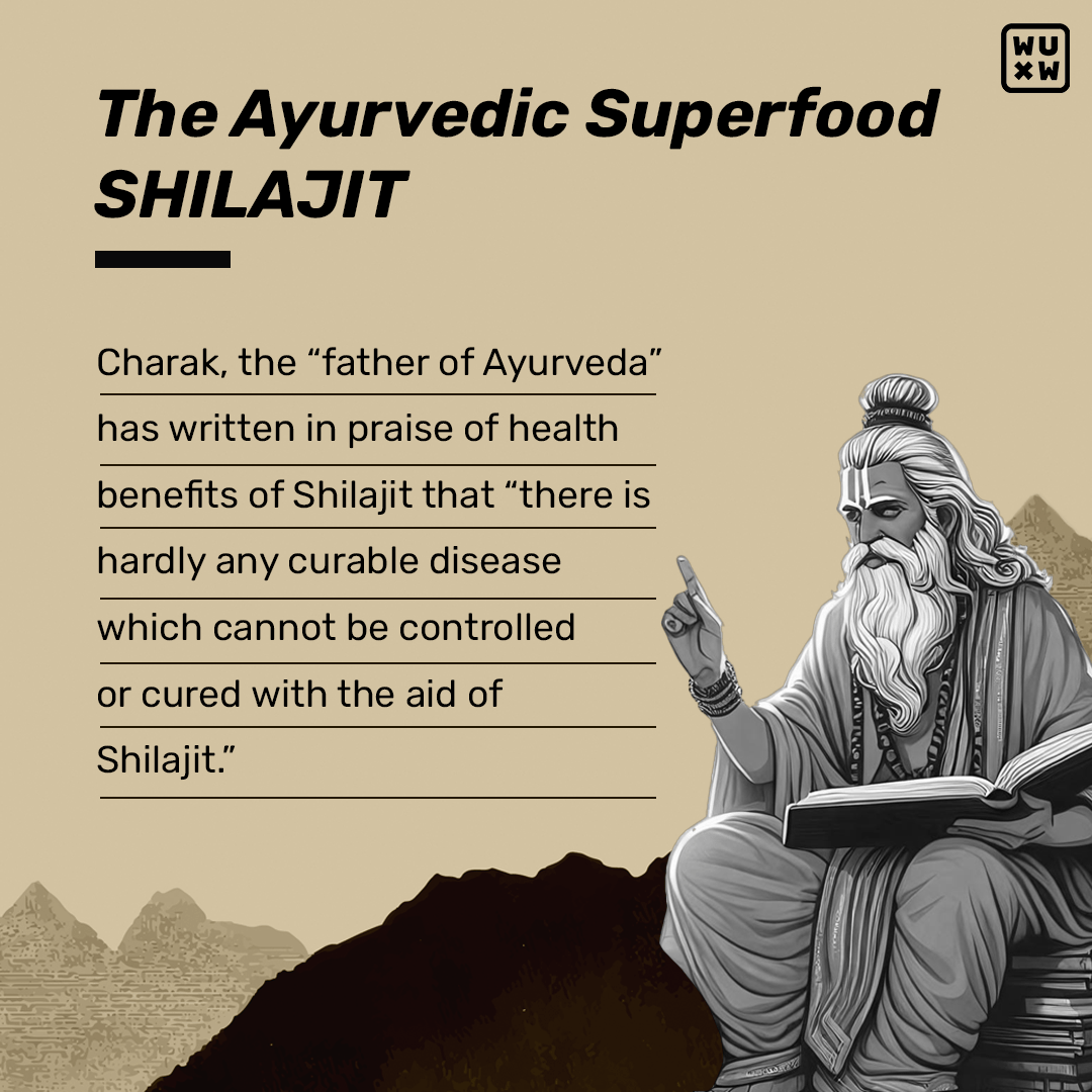 🎁 Shilajit Gummies