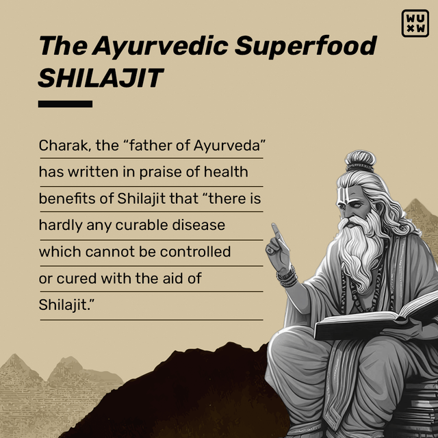 🎁 Shilajit Gummies