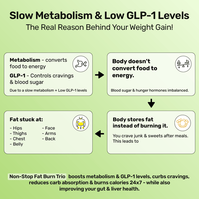 Non-Stop Fat Burn Trio