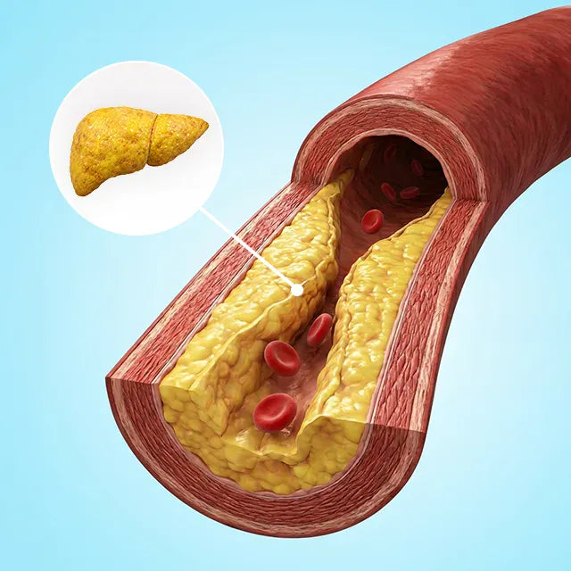 Lung & Liver Detox Capsules bottle