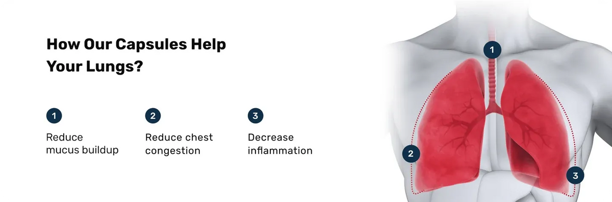 files/How_our_Capsules_help_your_Lungs.webp