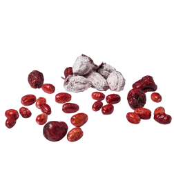 files/Jujube.png
