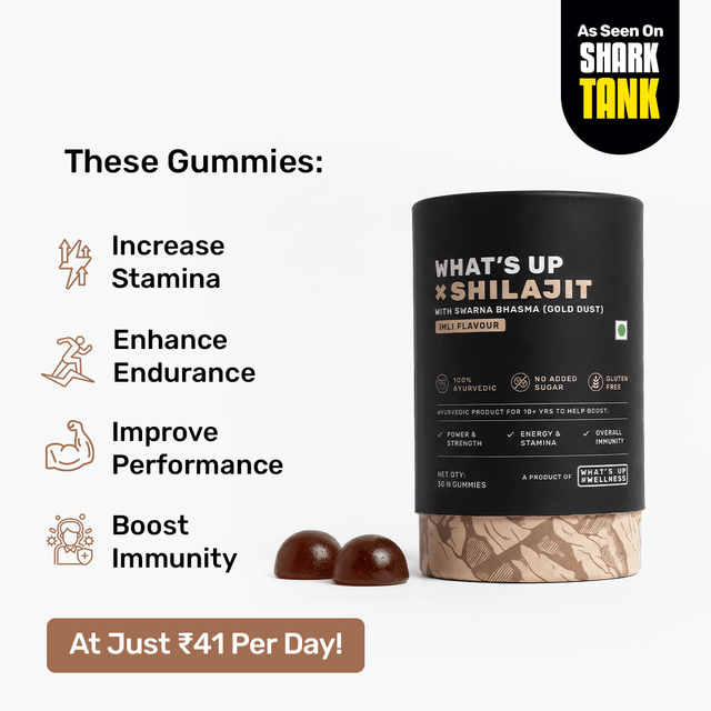 🎁 Shilajit Gummies