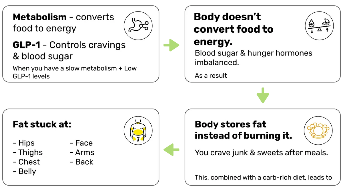 files/Slow_Metabolism_Low_GLP-1_Levels.webp