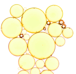 files/Titagen_Collagen.png