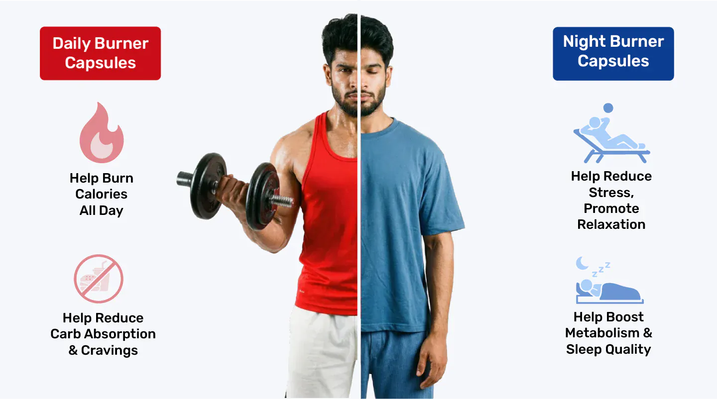 files/banner3_desktop_da02f9e2-c41c-457c-b31d-4dc66aa41eb1.webp