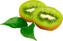  Vitamin E 