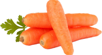  Vitamin A 
