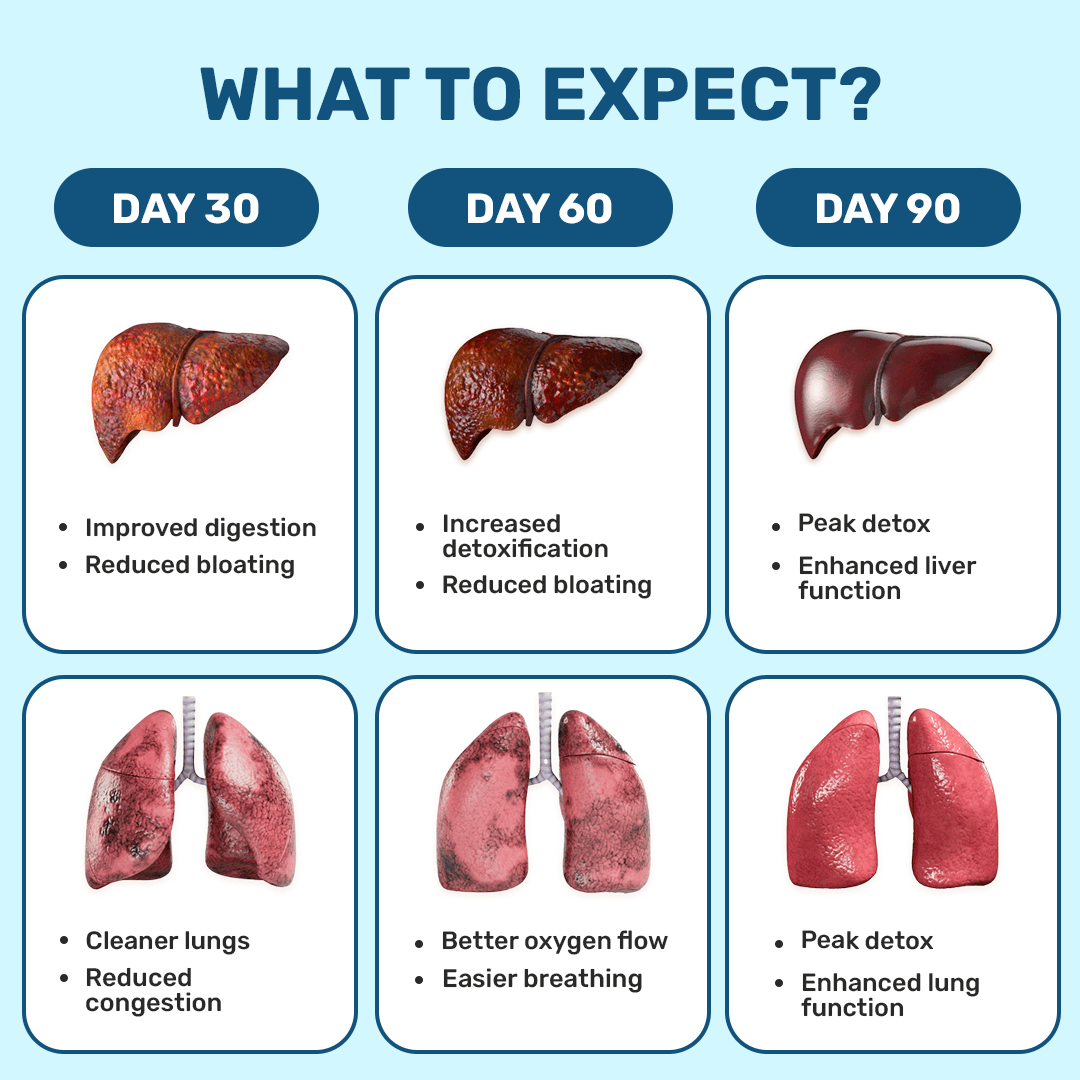 Lung, Liver & Gut Cleanse Combo