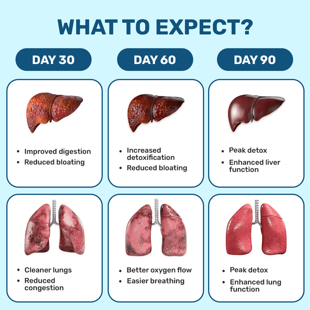 Lung, Liver & Gut Cleanse Combo