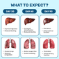 Lung, Liver & Gut Cleanse Combo